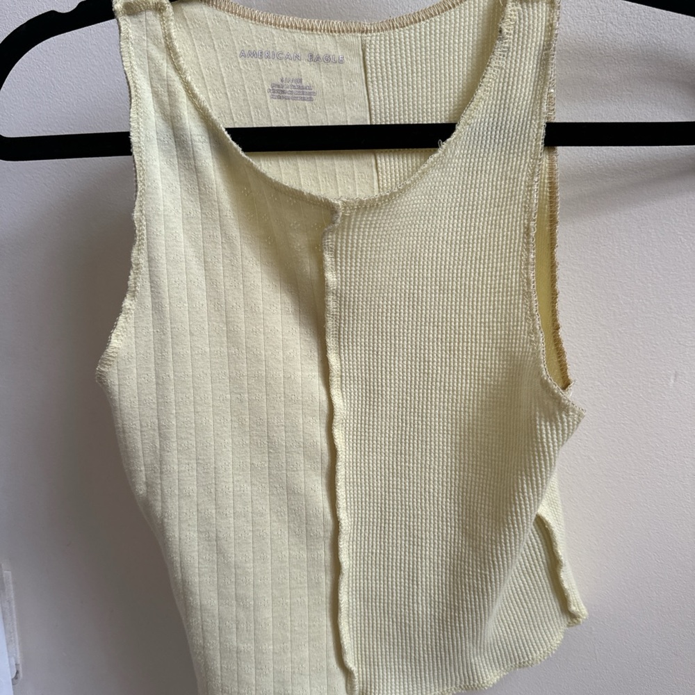 American Eagle Crop Top